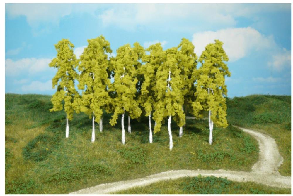 Heki 1412 14 Birken 14 cm Neu OVP