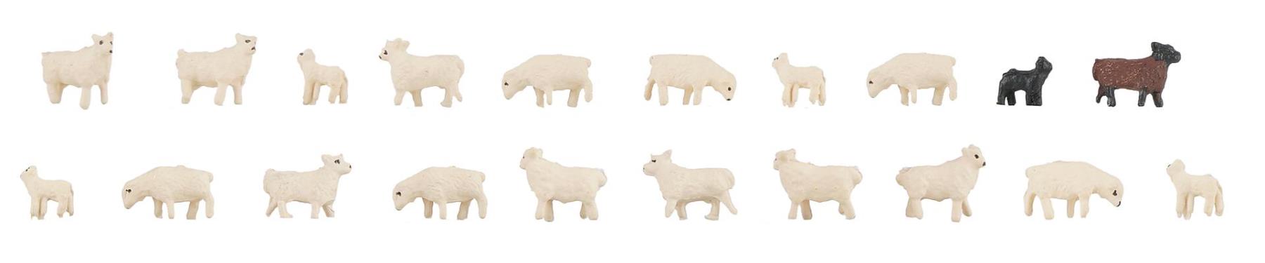 Faller 155907 20 Hausschafe 1:160 Spur N Neu OVP Figuren Tiere