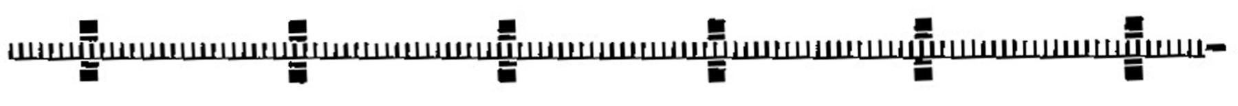 Fleischmann 6412 Flexible Zahnstange - Spur H0 1:87