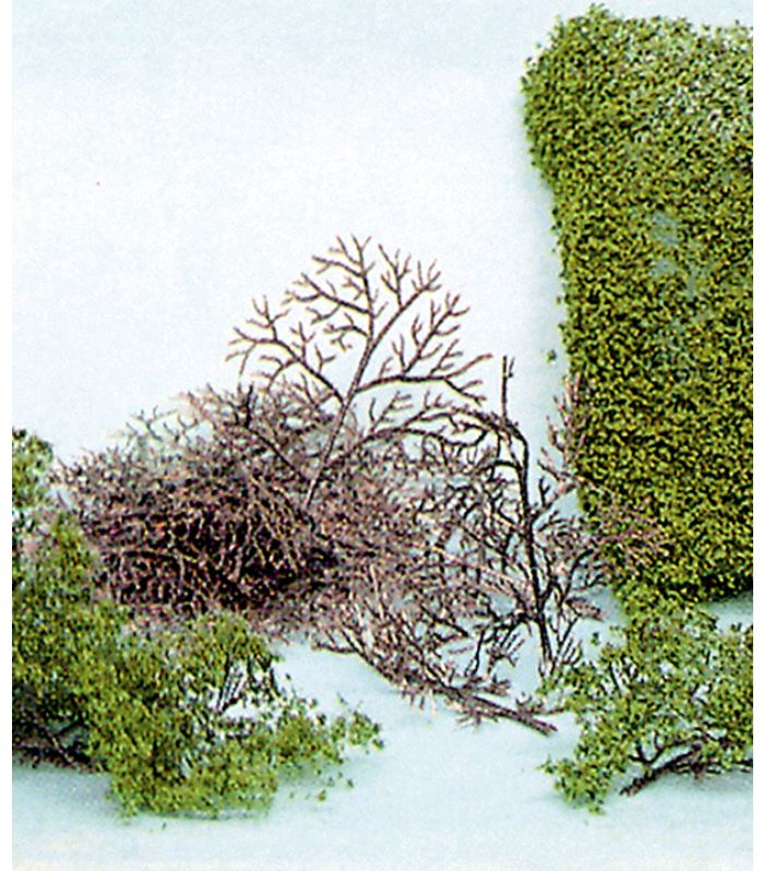 Heki 1530 15 Büsche + HEKI flor 2-6 cm Bausatz Neu OVP